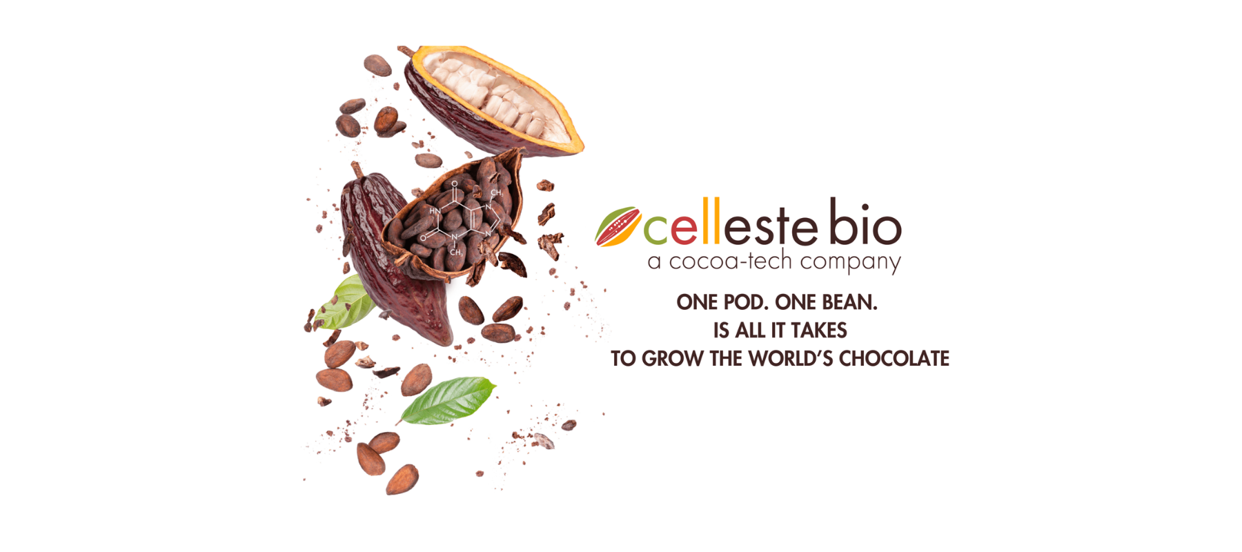Israeli cocoa-tech startup Celleste Bio closes $4.5m to scale production of cell cultured cocoa